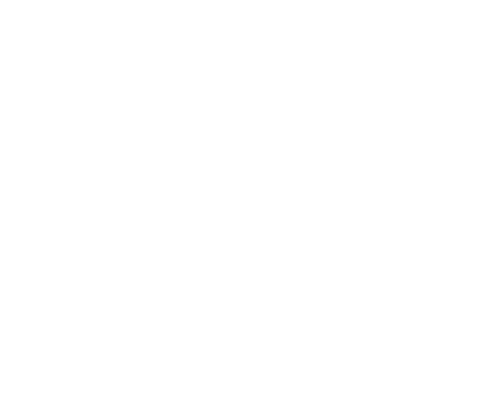 Logo2 MayorLeagueLimoServices